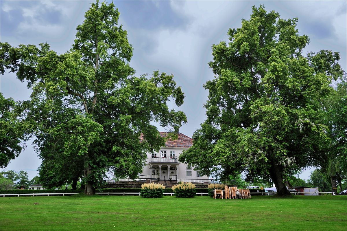 Jardin arboré avec pelouse entretenue et grands arbres taillés