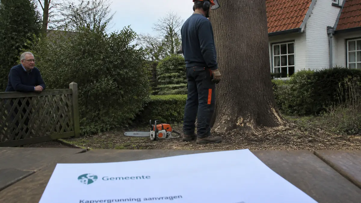 Abattage d'arbre sans autorisation : quelles sanctions risquez-vous ?