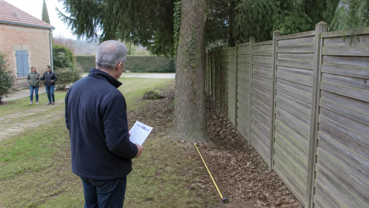 Réglementation sur l'abattage d'arbre : ce que dit le Code rural