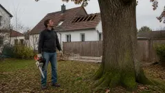 Abattage d'arbre sans autorisation : quelles sanctions risquez-vous ?