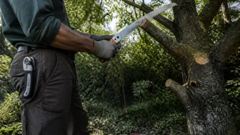 Quelle scie d'élagage choisir selon le type d'arbre et la hauteur ?