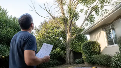 Abattage d'arbre : quelle autorisation demander à la mairie ?