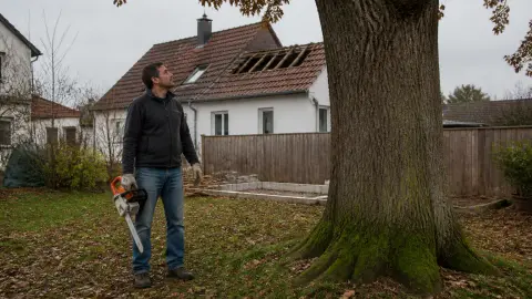 Abattage d'arbre sans autorisation : quelles sanctions risquez-vous ?