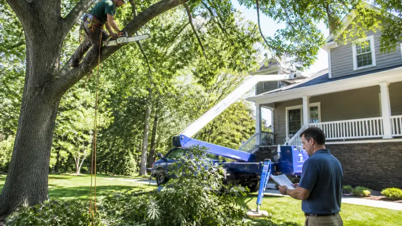 Travaux d'élagage déductibles des impôts : ce qui change en 2026